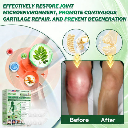 🇺🇸 𝐎𝐟𝐟𝐢𝐜𝐢𝐚𝐥 𝐔𝐒 𝐒𝐭𝐨𝐫𝐞 | 🧑‍⚕️🩺 Acezozla® Moringa · Berberine × NAD+ 𝟏𝟎-𝐢𝐧-𝟏 𝐀𝐝𝐯𝐚𝐧𝐜𝐞𝐝 𝐍𝐚𝐧𝐨 𝐌𝐢𝐜𝐫𝐨𝐧𝐞𝐞𝐝𝐥𝐞 𝐏𝐚𝐭𝐜𝐡 — 𝐎𝐧𝐜𝐞 𝐃𝐚𝐢𝐥𝐲, 𝐕𝐢𝐬𝐢𝐛𝐥𝐞 𝐑𝐞𝐬𝐮𝐥𝐭𝐬 𝐢𝐧 𝟕 𝐃𝐚𝐲𝐬🔥